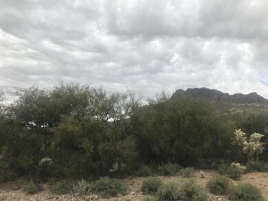 Lot view