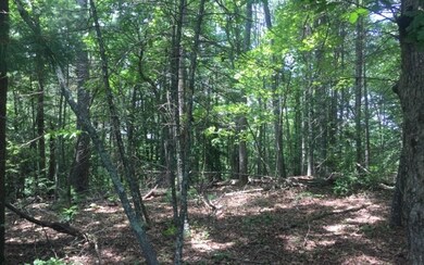 Additional View