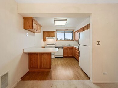 464 Raintree Dr unit 2D, Glen Ellyn, IL 60137 - photo 2