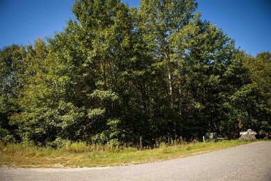 00 Buck Ridge Rd, Lisbon, NH 03585 - photo 5