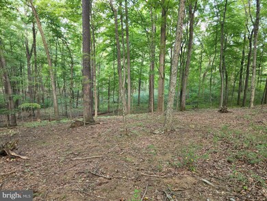 0 Dogwood Ln unit WVMO2002192, Berkeley Springs, WV 25411 - photo 7