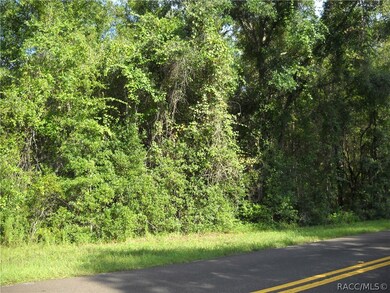 3301 N Page Ave, Hernando, FL 34442 - photo 3