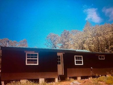 1472 Petters Rd, Mountain View, AR 72560 - photo 4