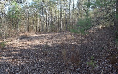 Additional View