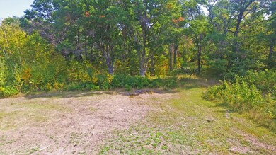 East side of clearing.JPG