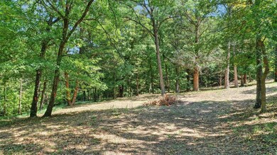 TBD Idlewild Dr, Pottsboro, TX 75076 - photo 7