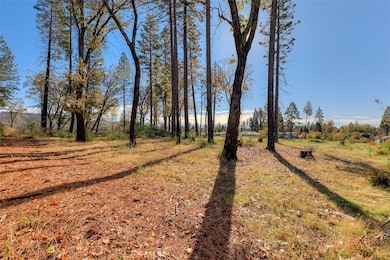 1751 Stark Ln, Paradise, CA 95969 - photo 6