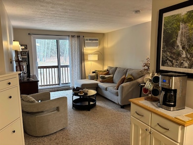 60 Old Hackett Hill Rd unit 2D, Manchester, NH 03102 - photo 6