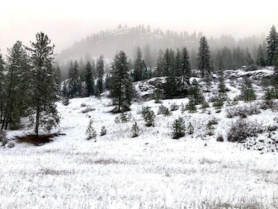 35XX Rockcut Rd, Kettle Falls, WA 99141 - photo 5