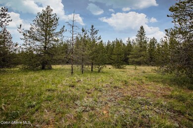 6_Vacant Land_Blanchard, ID