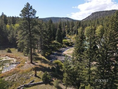 Mammoth Creek fronts property