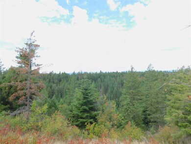 32701 Delaro Ranch Rd, Bigfork, MT 59911 - photo 6