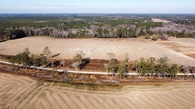 TBD Black Creek Rd, Nichols, SC 29581 - photo 3