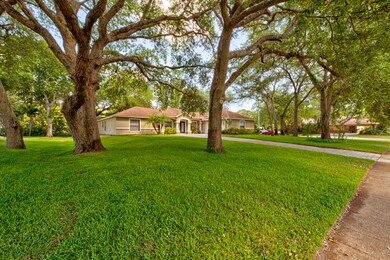 front yard left