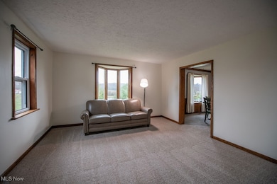 8811 Bayard Rd, Minerva, OH 44657 - photo 7