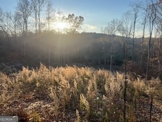 0 Mountain Creek Dr SE unit 10436191, Rome, GA 30161 - photo 2