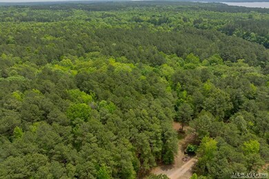 119 Kings Branch Ct, Littleton, NC 27850 - photo 6