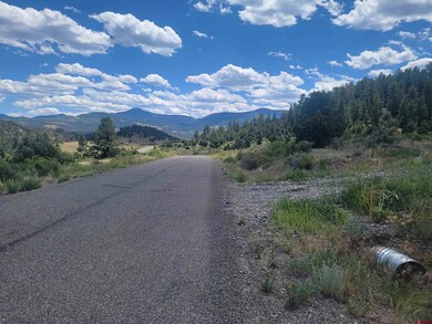 1287 Bear Creek Cir, South Fork, CO 81154 - photo 3