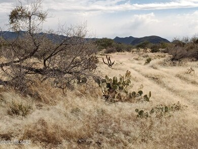 16040 Big Run Ave unit 316, Diamond Bell Ranch, AZ 85736 - photo 2