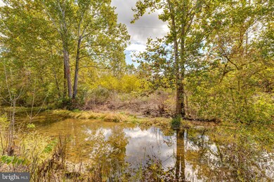 397 Henshaw Rd, Bunker Hill, WV 25413 - photo 7