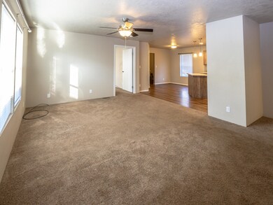 photo-3