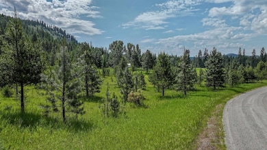 21145 Leclerc Rd N, Cusick, WA 99119 - photo 7