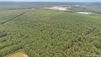 0 David Raines Rd, Shreveport, LA 71107 - photo 6