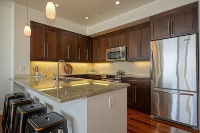 Nouvelle at Natick unit T926, Natick, MA 01760 - photo 6