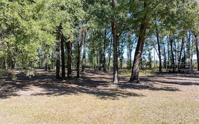 6523 260th Place, Branford, FL 32008 - photo 5