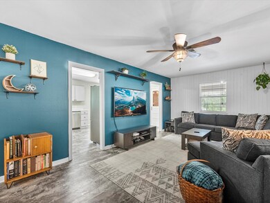 This is a cozy, well-lit living room featuring a b