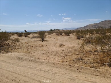 3030 Saddleback Rd, Joshua Tree, CA 92252 - photo 6