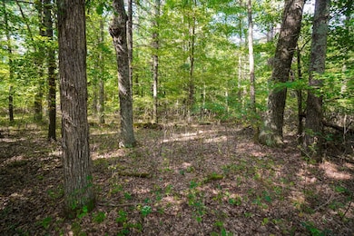 Lot 45 18th, Arkdale, WI 54613 - photo 6
