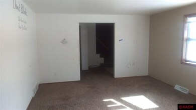 919 E Hawthorne St, Albert Lea, MN 56007 - photo 5