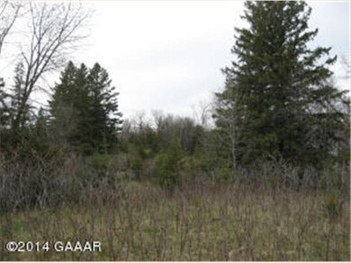 3052 Stony Ln NW, Alexandria, MN 56308 - photo 7