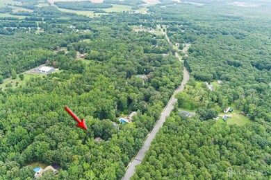 167 Long Swamp Rd, New Egypt, NJ 08533 - photo 3