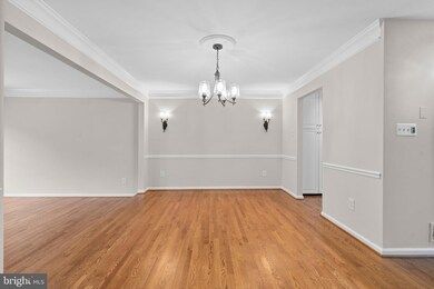 5902 Bloomingdale Terrace, Rockville, MD 20852 - photo 7