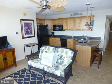 Golden Sands, Ocean City, MD 21842 - photo 2