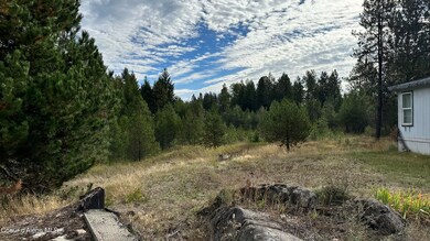 143 Homestead Rd, Athol, ID 83801 - photo 3