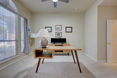 10617 Black Horse, Helotes, TX 78023 - photo 4