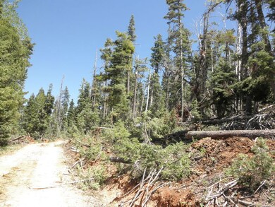 905 W Twisted Trail unit ZVME Un E Lot 113, Duck Creek Village, UT 84762 - photo 2