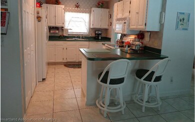 101 Dixie Ave, Lake Placid, FL 33852 - photo 5