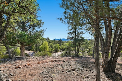 1302 N Karen Way, Payson, AZ 85541 - photo 2
