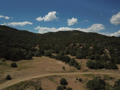 DJI_0041