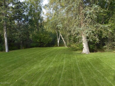grass2