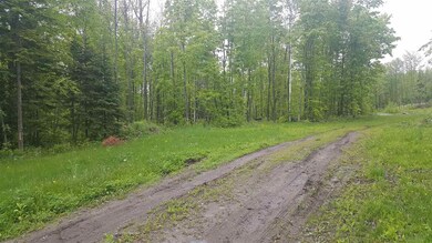 783 Dexter Mountain Rd unit 3A, Glover, VT 05839 - photo 2