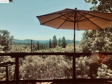 View of yard featuring a view of trees