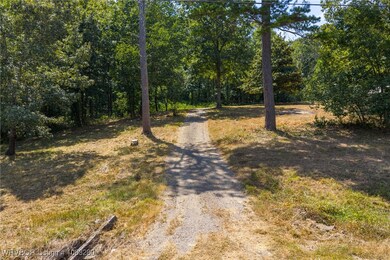 8951 Old 88 Rd, Rudy, AR 72952 - photo 3