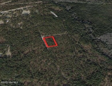 0 Antler Dr unit 100542261, Raeford, NC 28376 - photo 4