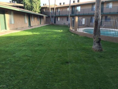 Pool and Grass Area