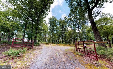 5387 High Knob Rd, Old Fields, WV 26845 - photo 6